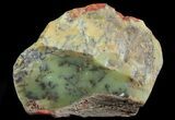 Polished Dendritic Opal (Moss Opal) - Australia #65418-2